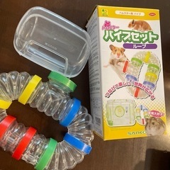 ハムスターパイプセットとお風呂