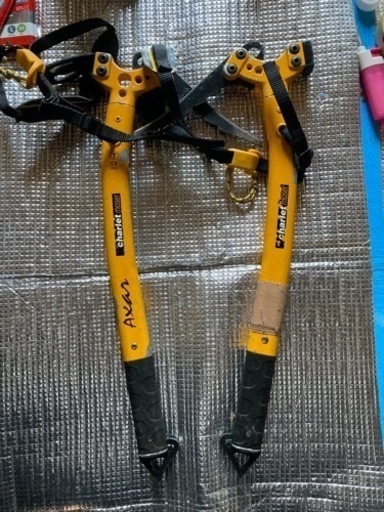 シャルレ　今はカンプ？　Wアックス