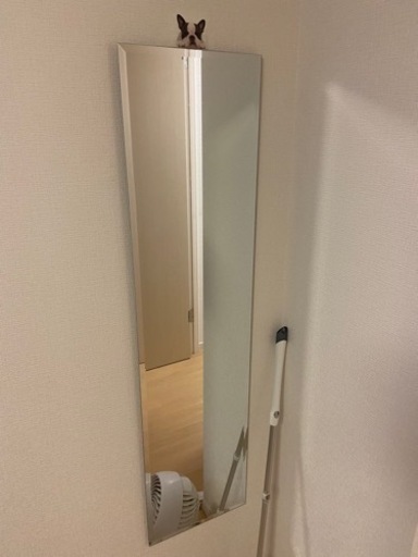 全身鏡（ウォールミラー）