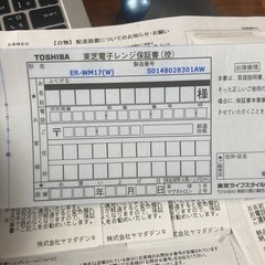 電車レンジ　今年購入の画像