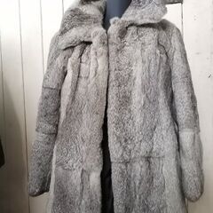 ラビットコート