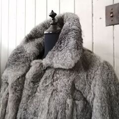 ラビットコートの画像