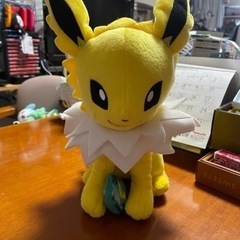 ポケモン　リザードン　サンダースの画像
