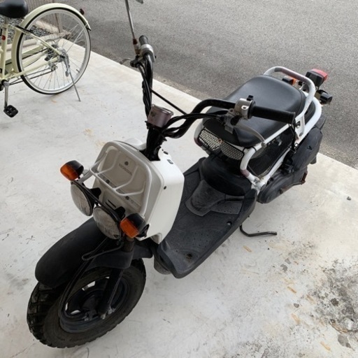 〖売却済〗白ズーマー☆ﾐ