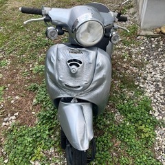 ホンダ　ジョルノ