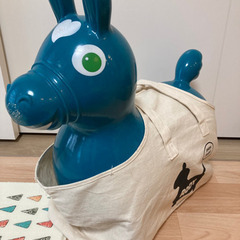 【室内用】RODY ロディ（専用トートバッグ付き）の画像
