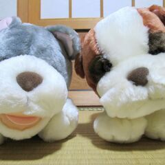 いぬ  ぬいぐるみ セット