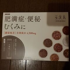 生漢煎　防風通聖散