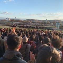 競馬観戦しませんか？2022年を締めくくる中山競馬場！ - 中野区