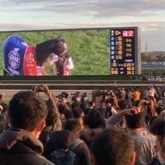 競馬観戦しませんか？2022年を締めくくる中山競馬場！ - 友達