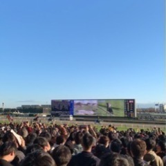 競馬観戦しませんか？2022年を締めくくる中山競馬場！