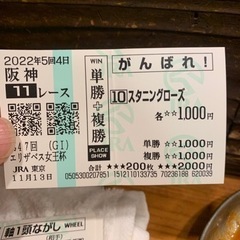 競馬観戦しませんか？2022年を締めくくる中山競馬場！ - メンバー募集