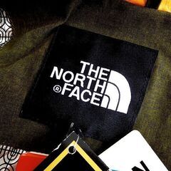 😸【新品・未使用品】THE NORTH FACE ノースフェイス 「定価49,000円」 GORE-TEX「基本送料無料」の画像