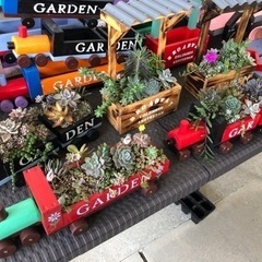 手作り　多肉植物プランター　汽車の画像