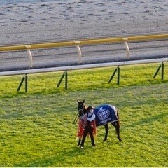 競馬友達募集