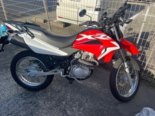 HONDA xr150 150cc バイク　オフロード　ホンダ　今年購入で美品