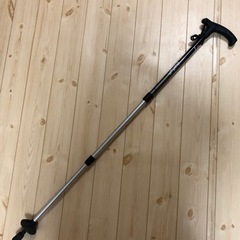 ホールアース トレッキングポールの画像