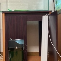 【お話中です】水槽セット60cm  エーハイムガラス水槽、外部フ...