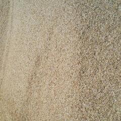 もみ殻　もみがら　もみ殻　配達可能です！畑作業　野菜作り　オーガニック　の画像