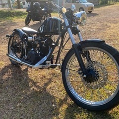 売約済み。ヘイスト250 heist250  クリープラント　ア...