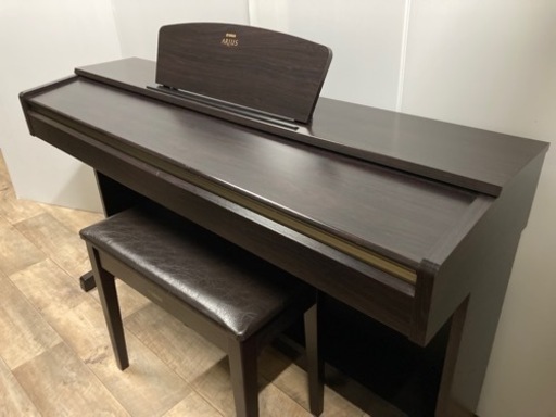 YAMAHA  人気アリウスシリーズ　YDP161