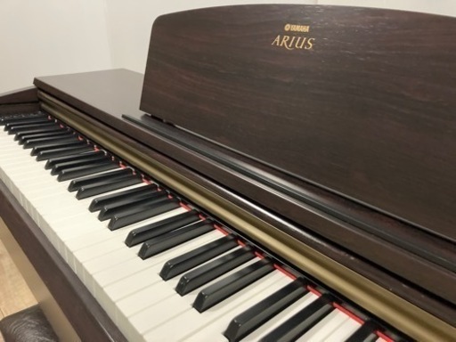 YAMAHA  人気アリウスシリーズ　YDP161