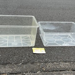 大きなプラスチック水槽 2個