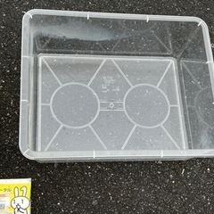 大きなプラスチック水槽 2個の画像