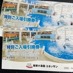 箱根ユネッサン　無料券　2枚