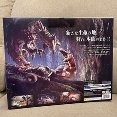 PlayStation®4 一式＋モンスターハンターワールドソフト 限定外箱！の画像