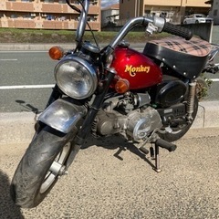 ホンダ　モンキー　12v 88cc 早いもの勝ち　カブ　ゴリラ　...