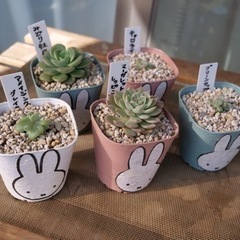 多肉友達！