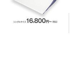トゥルースリーパーのセブンスピロー（ダブル）枕ですの画像