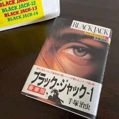 ブラックジャック　ハードカバー１４冊　箱入り　定価１４９３８円の画像