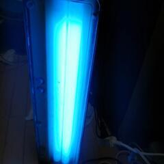 昔の海水魚用60cmW 2灯式のブルーライト‼️👍️最終値下げし...
