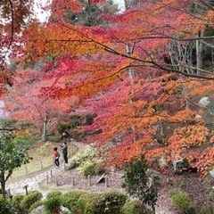 関西でのツーリング募集 - 京都市