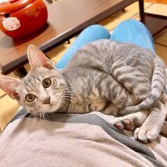 元気なナルトくん！