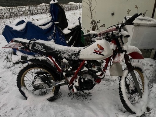 HONDA XL125（ジャンク）