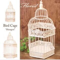 【値下げ】【新品】鳥籠アンティーク　ガーデニング　観葉植物