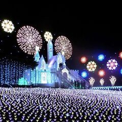 🌺大阪イルミネーション散策コン  🌟 各種の恋活イベント開催中！🍃