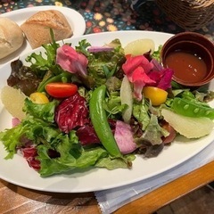 2022年12月25日(日)  カフェヨガ吉祥寺/ 10:15-11:15 ¥1,100 無料マット貸出 の画像