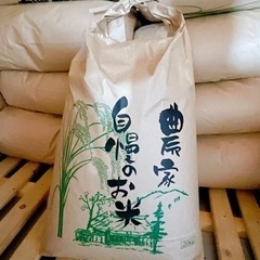 お米　20キロ　玄米
