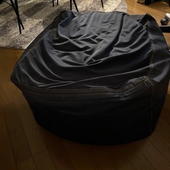 某ダメになるソファ