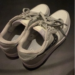 AIR Dior 1 Low