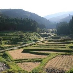 非公開  既存宅地400坪売地