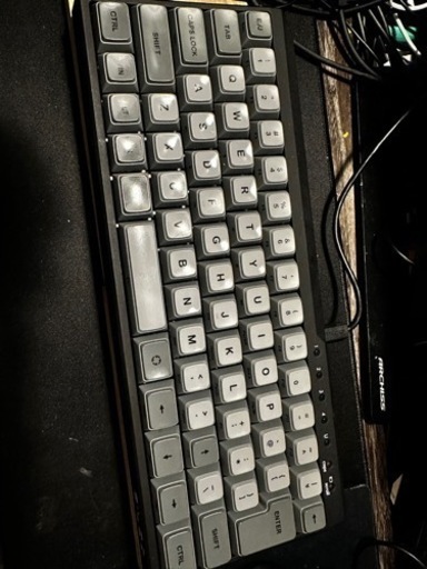 メカニカルキーボード ダイヤテック mini la-r