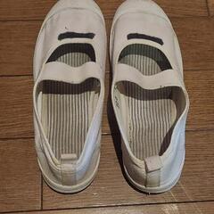 上靴サイズ22cm。の画像
