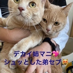 仲良し姉弟です