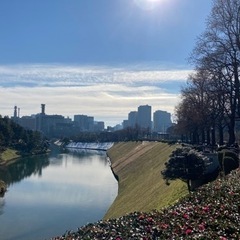 ランニング仲間募集　門前仲町 − 東京都