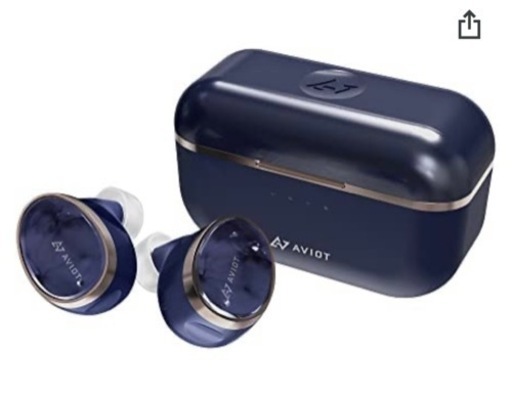 [美品]  AVIOT  TE-BD11t  ワイヤレスイヤホン